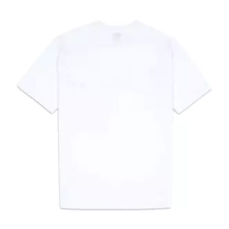 T-shirt Dickies Summerdale bianca